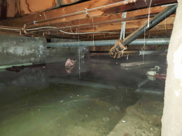 Best Fire Damage Restoration  in Davisboro, GA