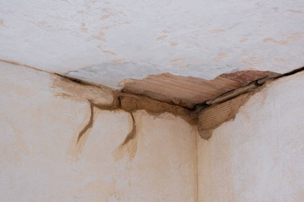 Best Ceiling water damage repair  in Davisboro, GA