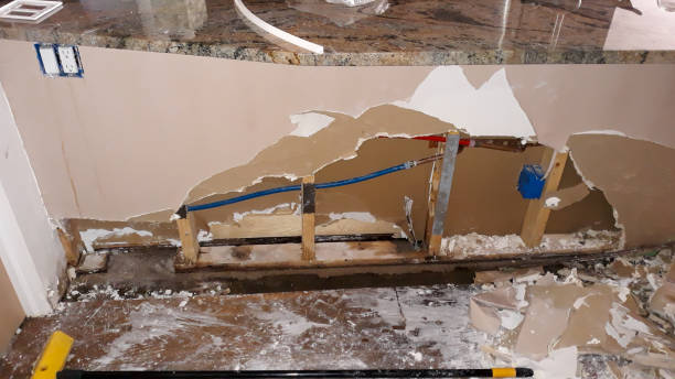 Best Sewage cleanup and water damage restoration  in Davisboro, GA