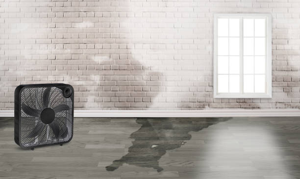 Best Water damage restoration near me  in Davisboro, GA
