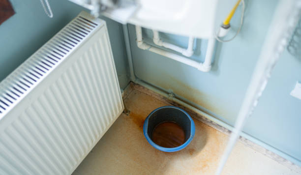Best Water damage cleanup near me  in Davisboro, GA