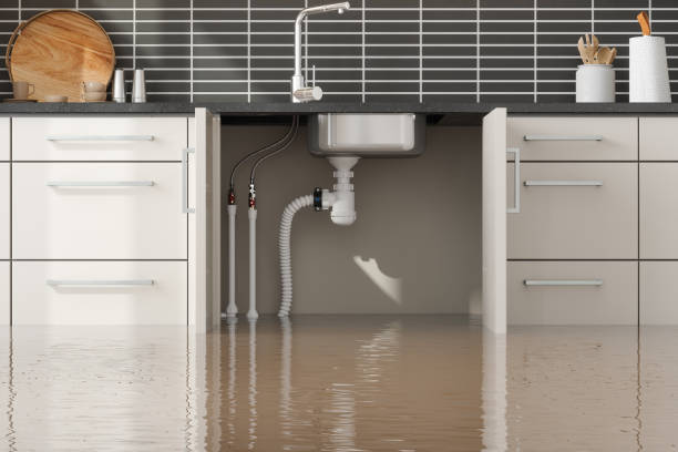 Best Local water damage restoration  in Davisboro, GA