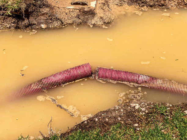 Best Carpet water damage restoration  in Davisboro, GA