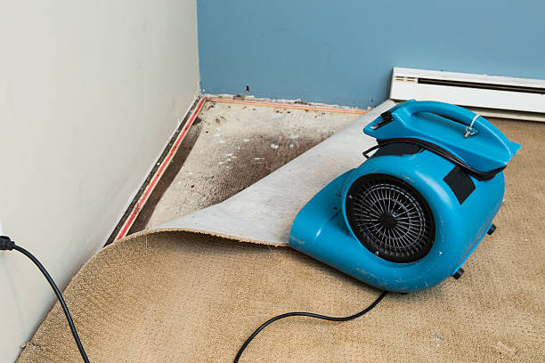 Best Commercial water damage restoration  in Davisboro, GA